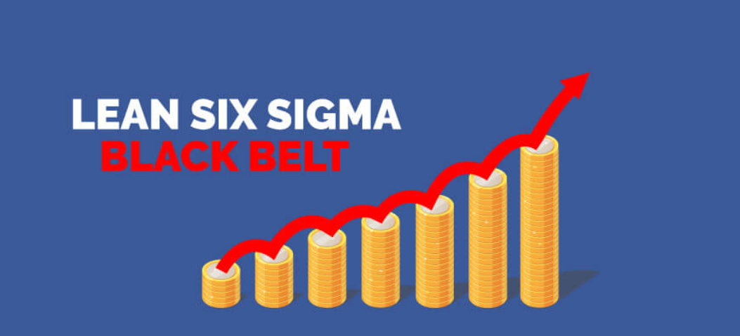 Integrated Lean Six Sigma Green Belt + Black Belt