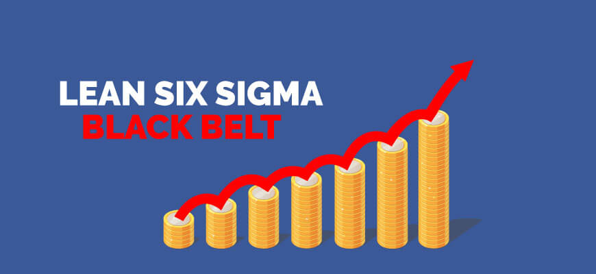 Lean Six Sigma Black Belt