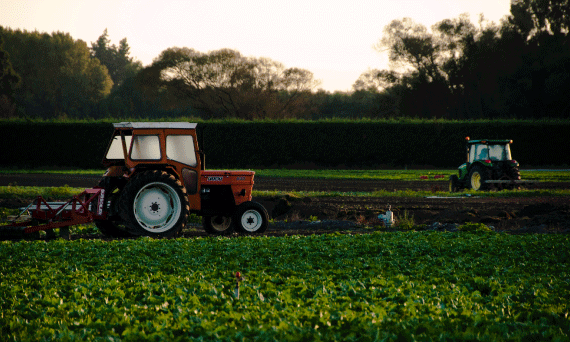 Agriculture